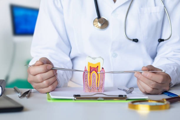 Best Emergency Dentist for Lost Fillings or Crowns in Woodville, FL